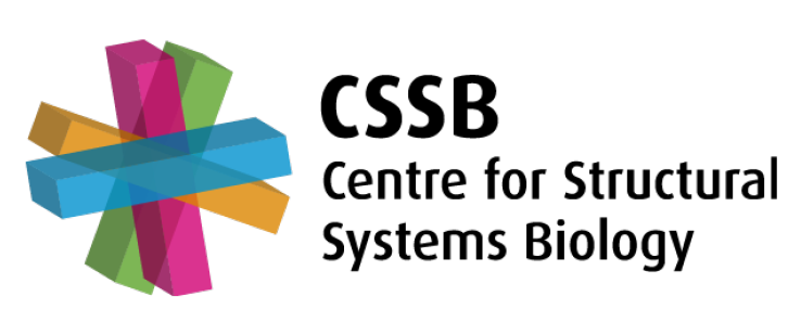 CSSB